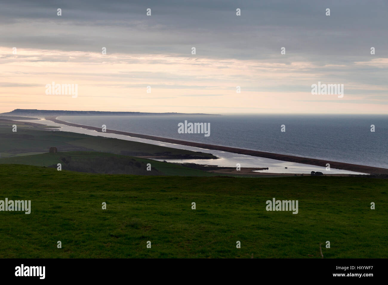 Jurrasic coast dorset fossils hires stock photography and images Alamy