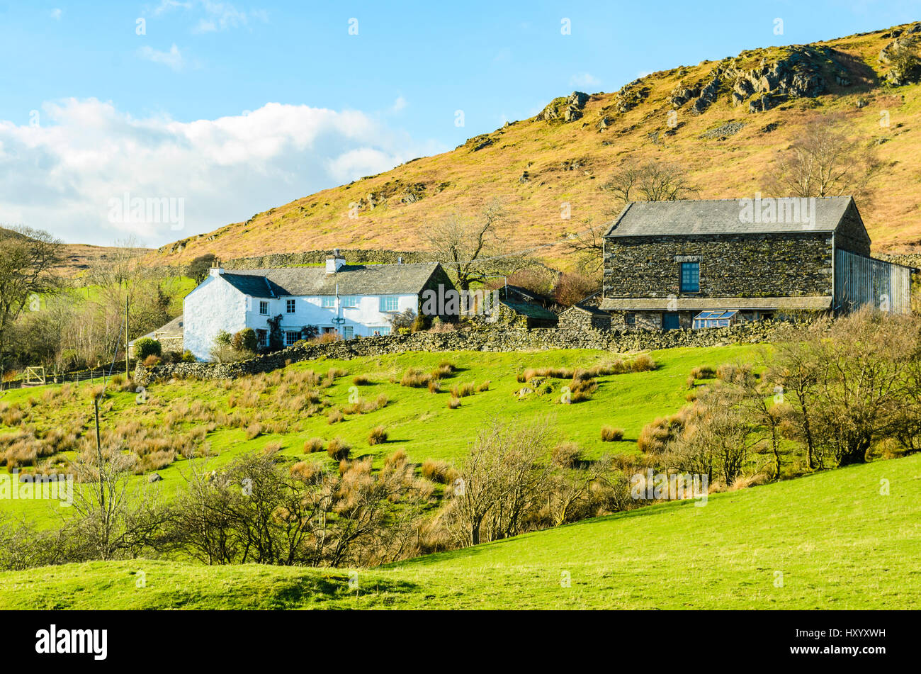 Traditional farmhouse and barn at Tottlebank, Lake District, UK Stock Photo