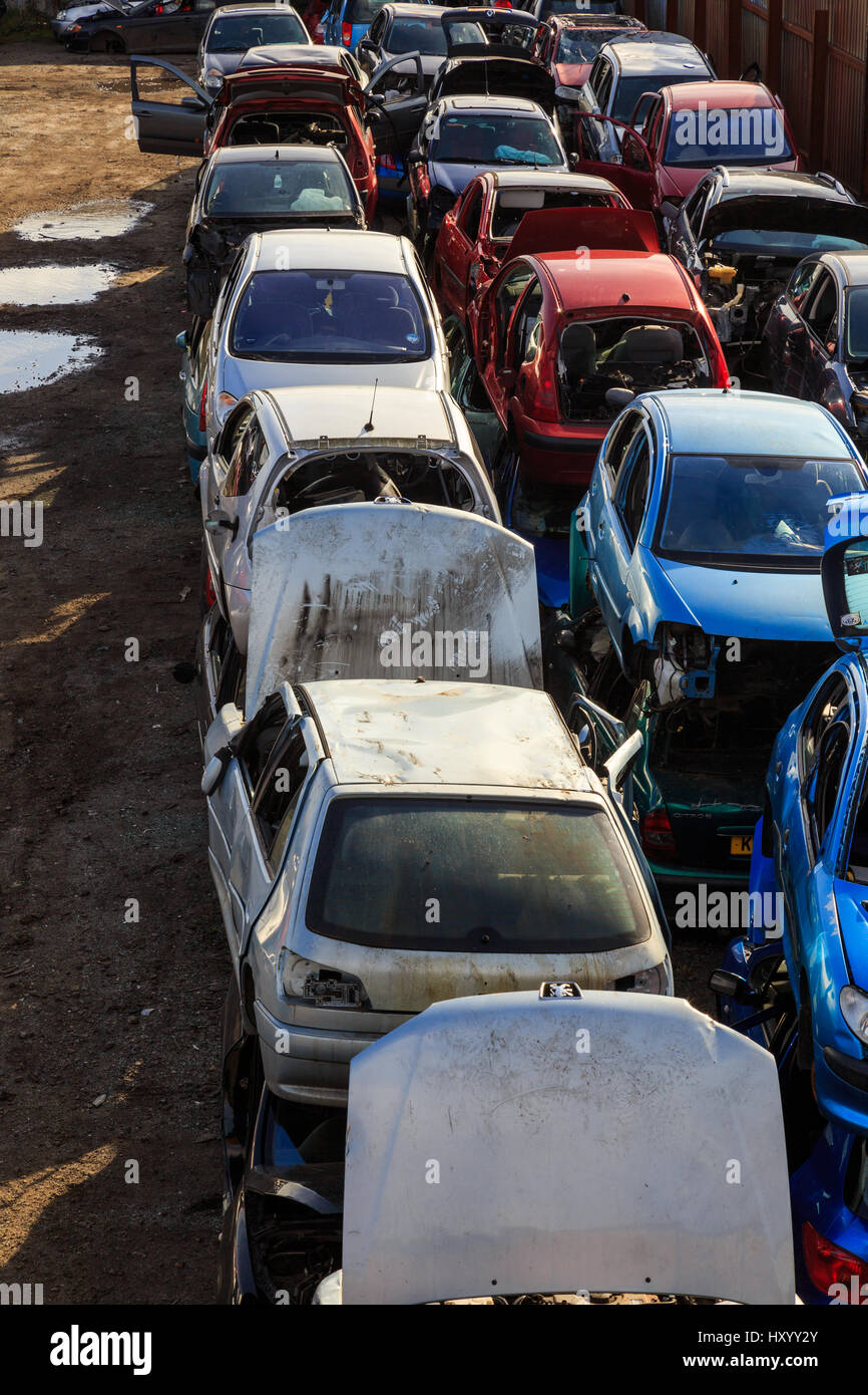 GRIMSBY, ENGLAND MARCH 14 Rows of old damaged cars in scrap yard in
