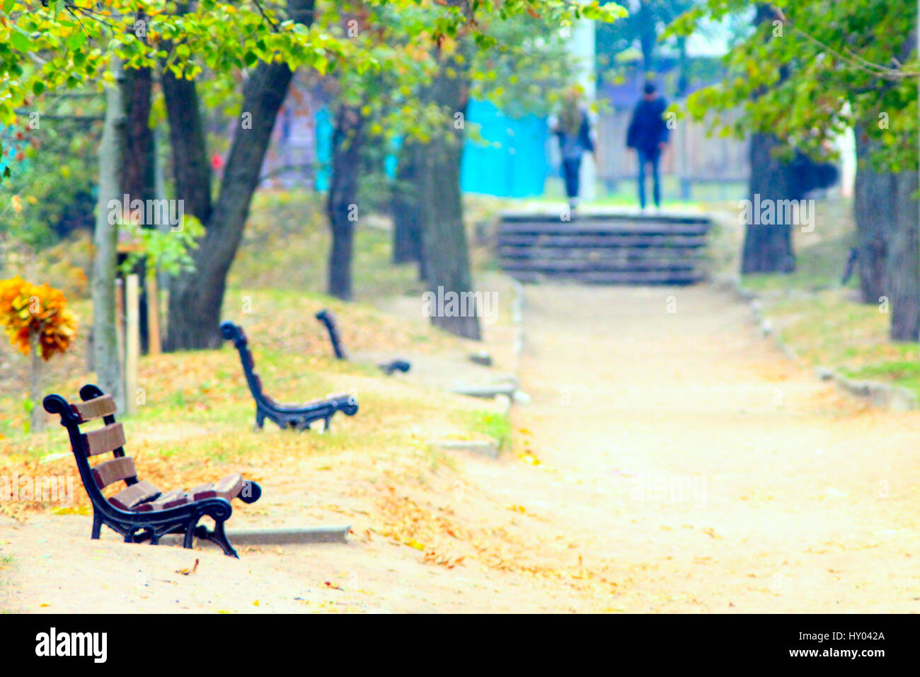 benches and path in the autumnal city park with trees and leaves Stock ...