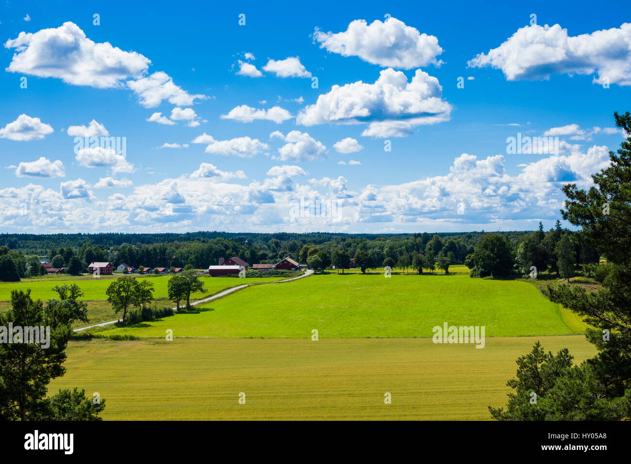 Sweden Scandinavia. Beautiful nature and landscape photo. Warm summer day with white clouds in sky. Lovely view from mountain over field. Nice image Stock Photo