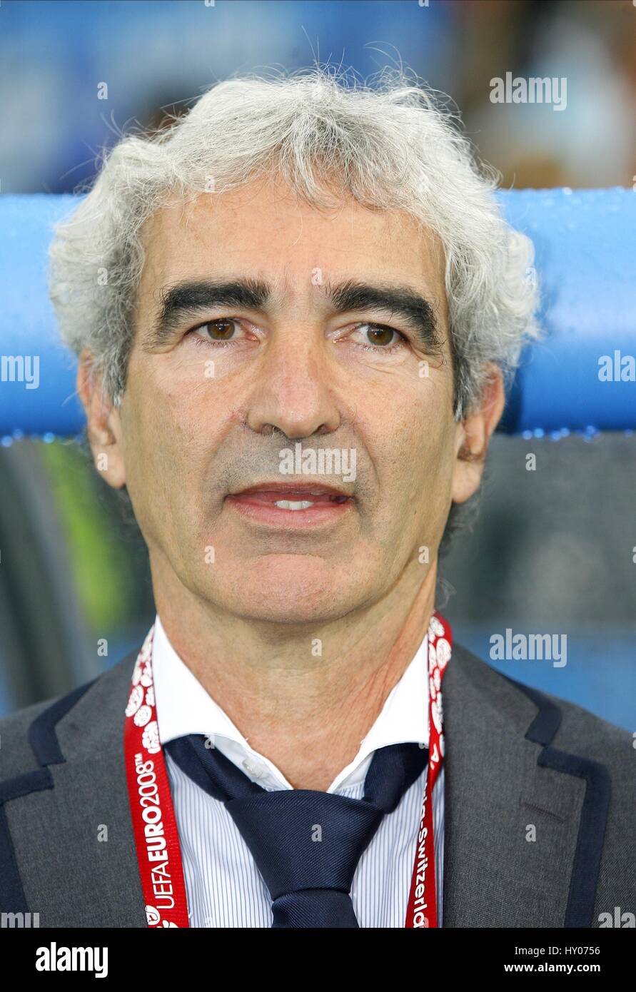 RAYMOND DOMENECH FRANCE V ITALY LETZIGRUND STADUIM ZURICH SWITZERLAND 17 June 2008 Stock Photo