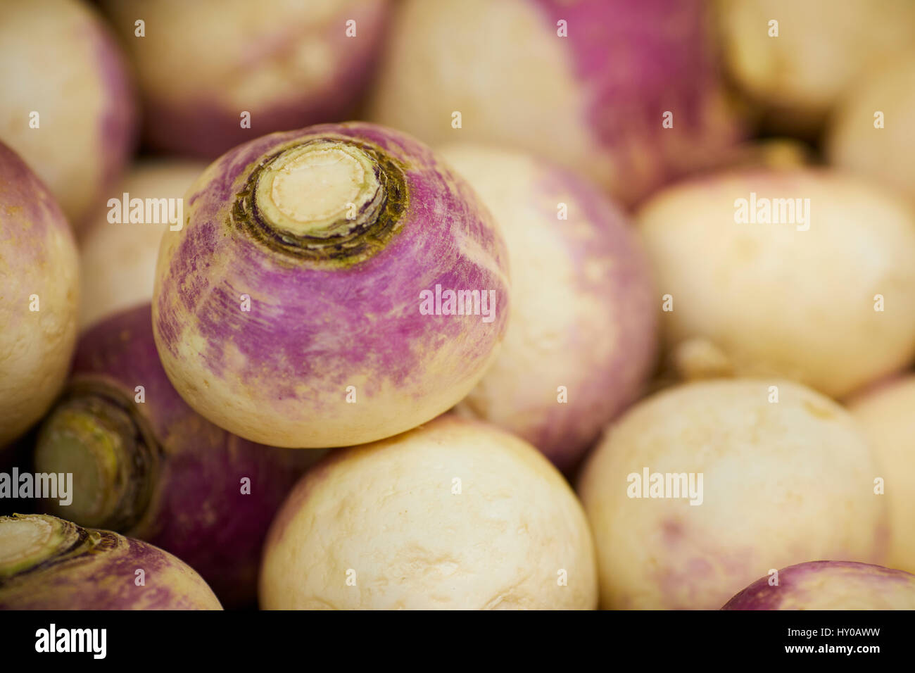 Turnip vegetables, on display in store Stock Photo Alamy