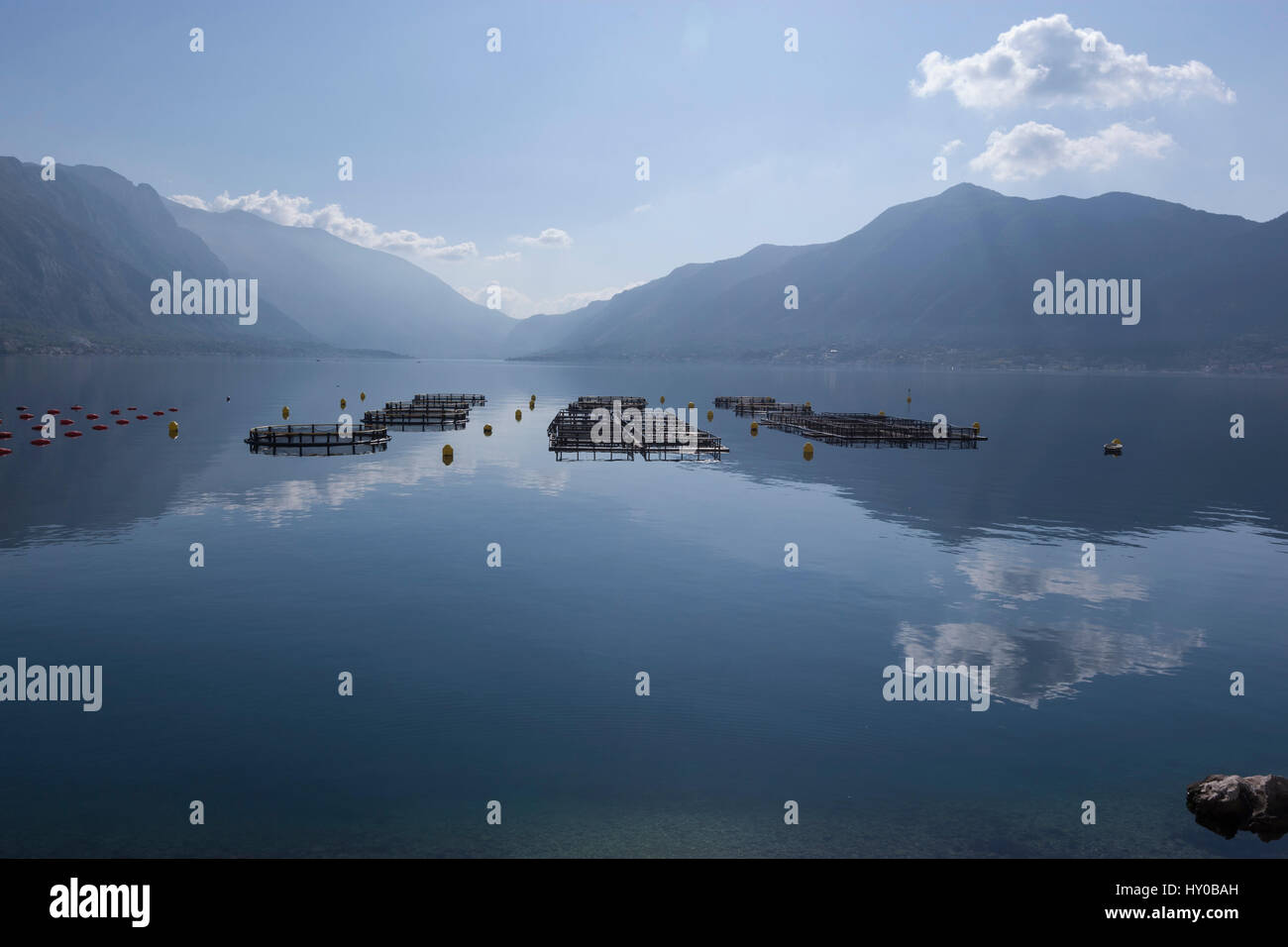 Fish farm in Bay of Kotor with St Nicholas church in Perast. Montenegro. Stock Photo