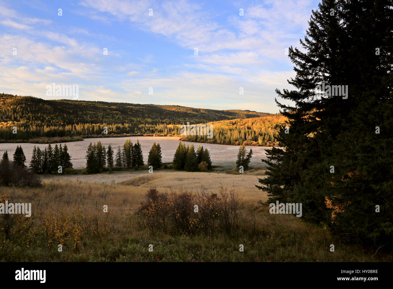 Autumn Colors Cypress Hills Canada interprovincial Park Stock Photo