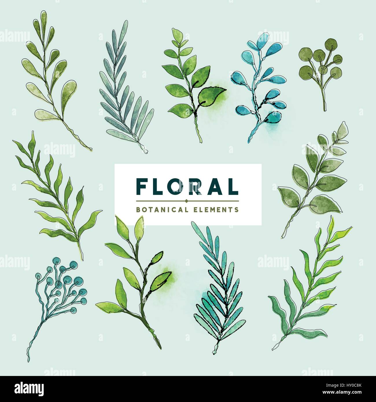 A collection of floral botanical plants and shrubs in watercolour and ink. Vector illustration Stock Vector