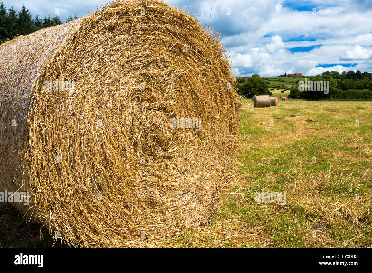 Hay bales, Kildale,North York Moors, England, UK Stock Photo Alamy