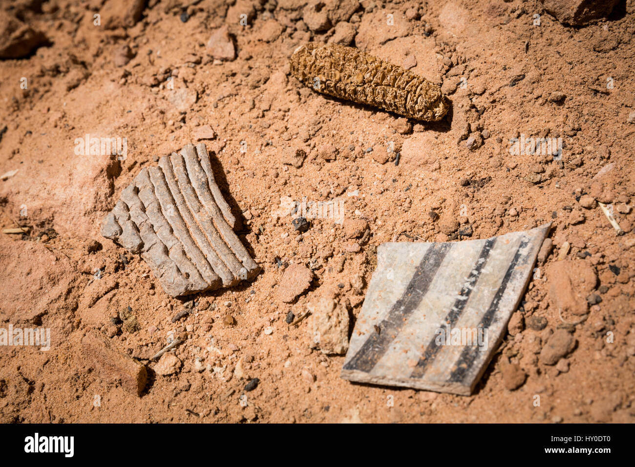 Two potsherds (or Pot shards) and a dried cob from maize grown in