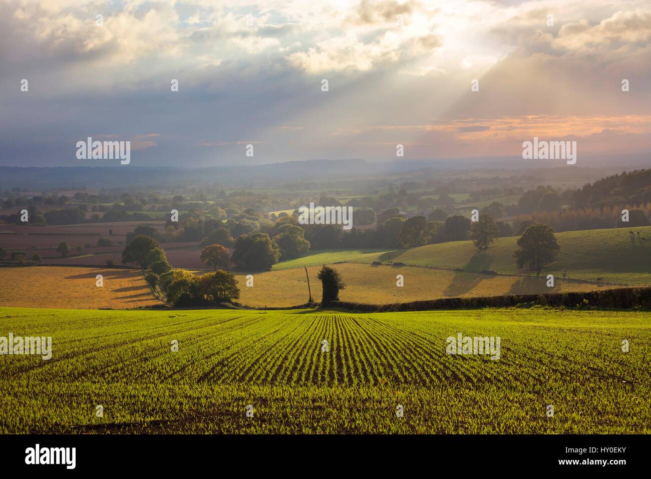 Shropshire farmland in Autumn, England Stock Photo