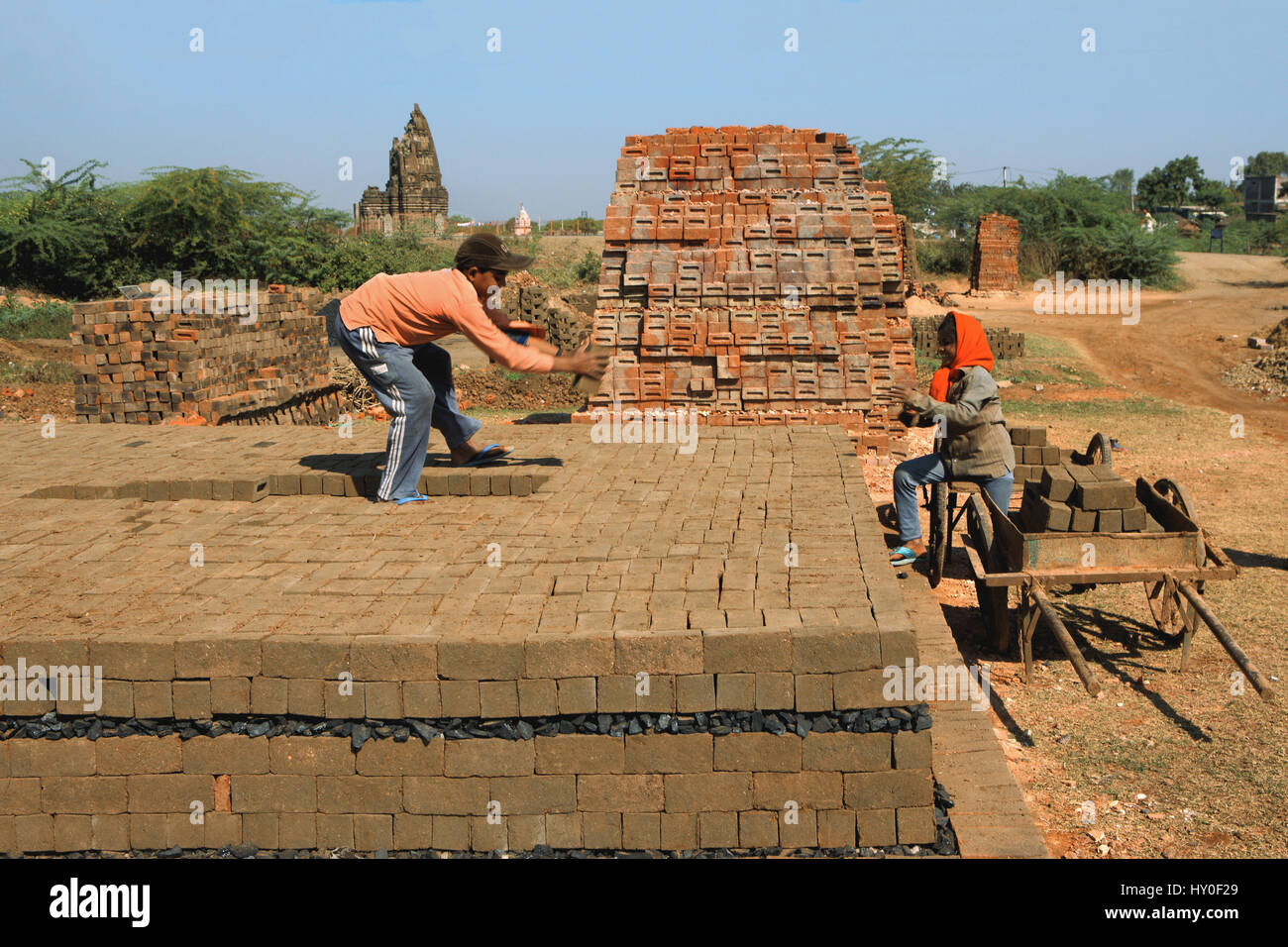 Man arranging bricks, barwani, madhya pradesh, india, asia Stock Photo