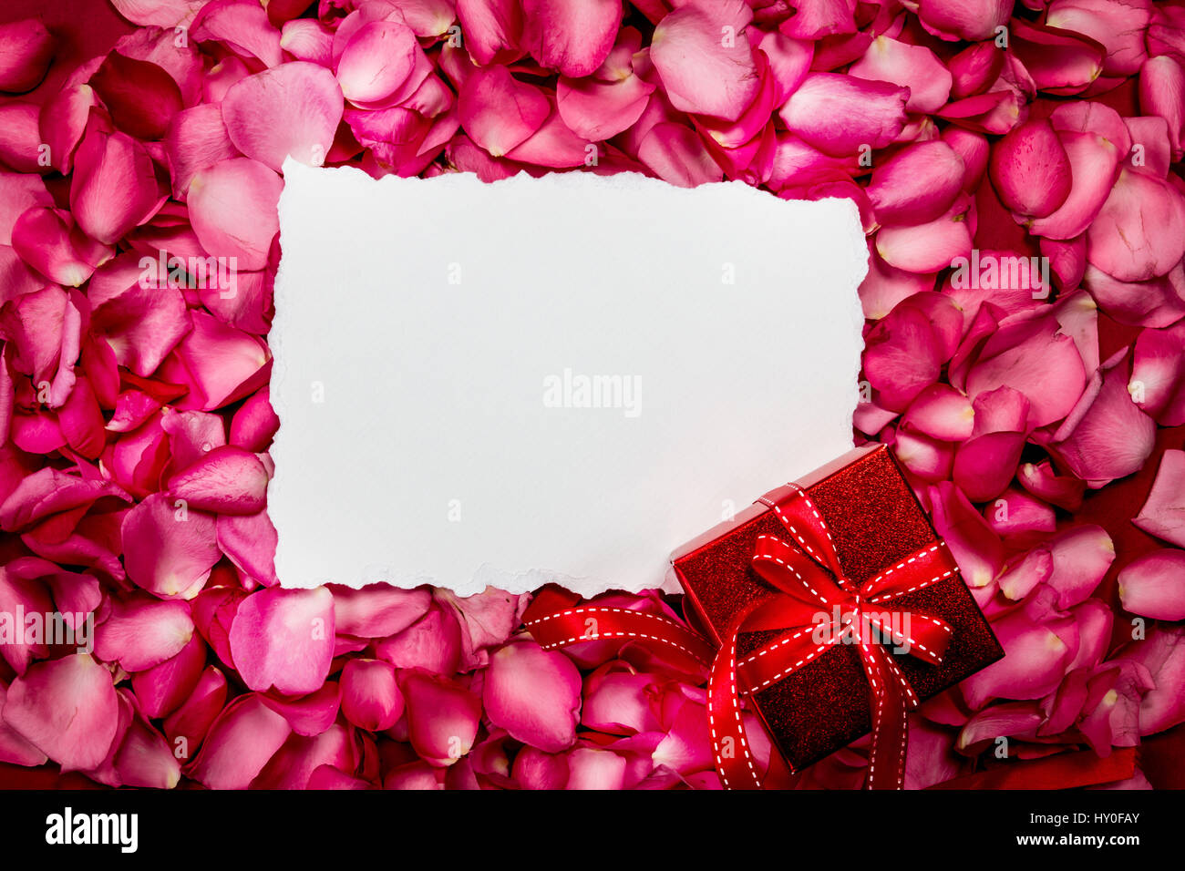 Empty Roses Carton Empty paper with sweet pink roses petal and red gift box , romance and ...