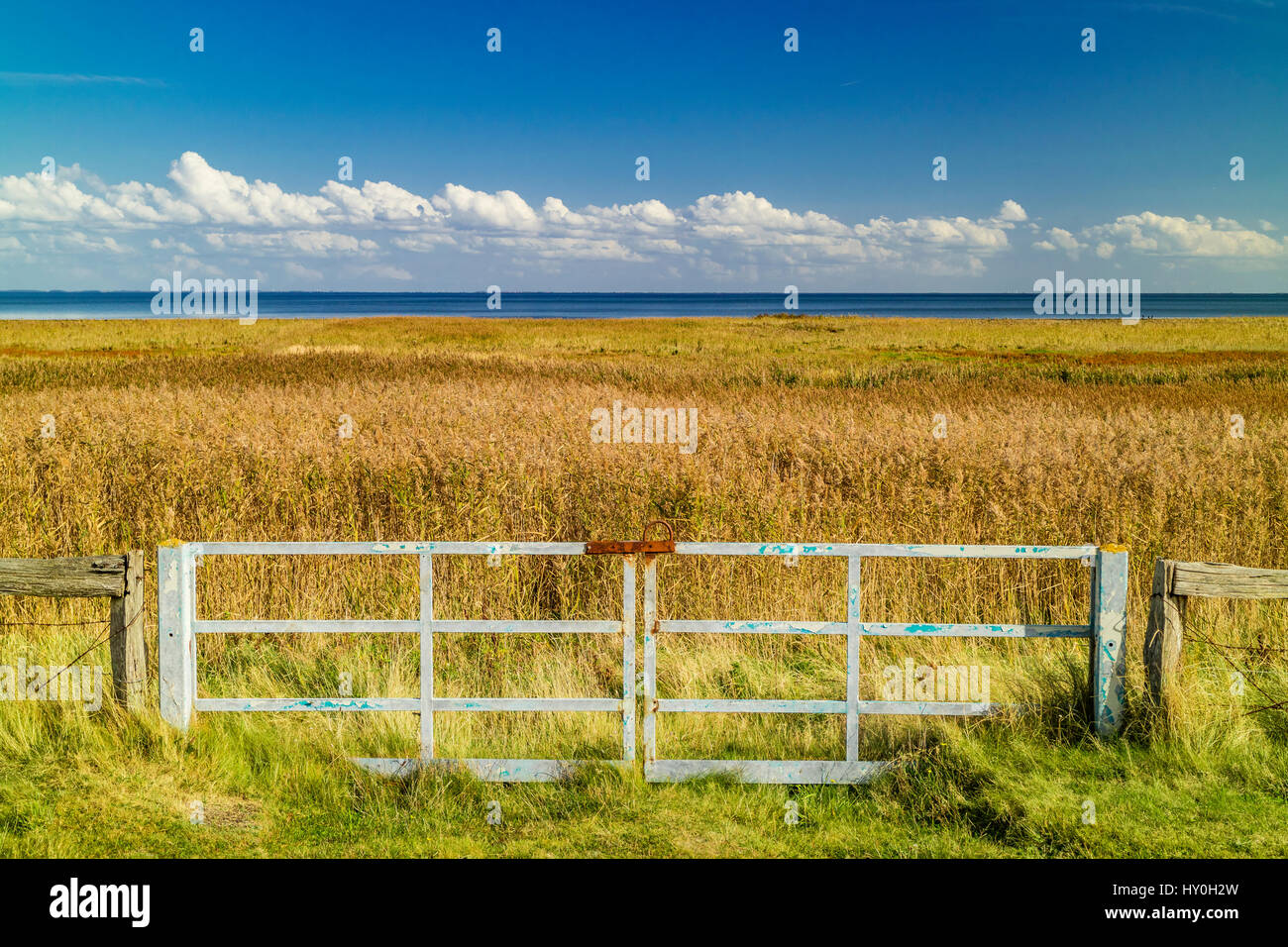 gate, Braderuper Heide and Wadden Sea Sylt Stock Photo