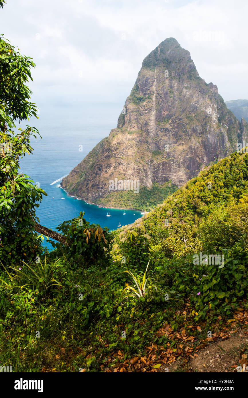 Petit Piton, one of the two (with Gros Piton) volcanic plugs on the