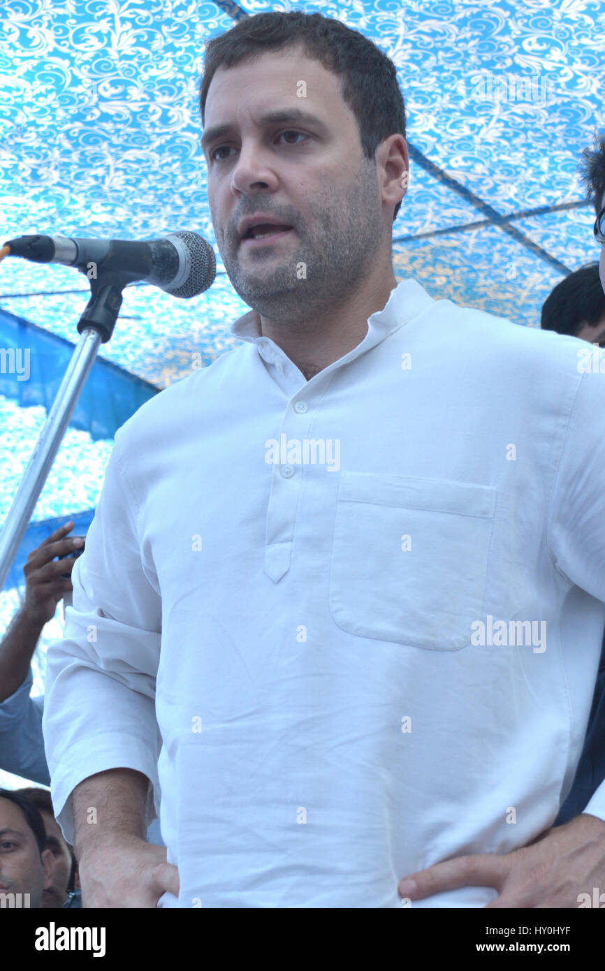 Indian national congress party, politician, rahul gandhi, india, asia Stock Photo
