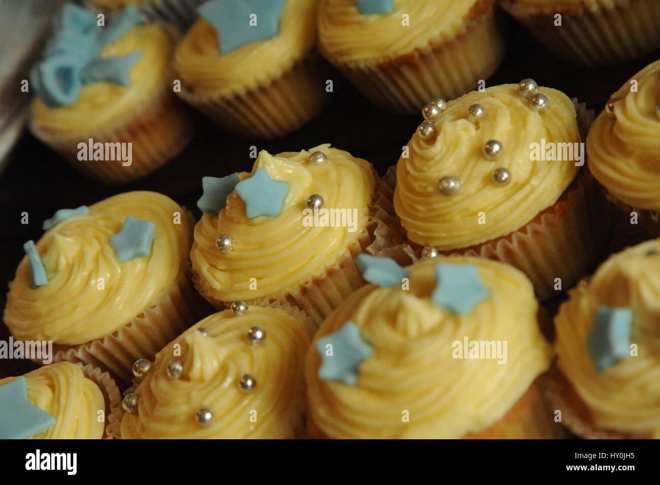 Iced cup cakes Stock Photo