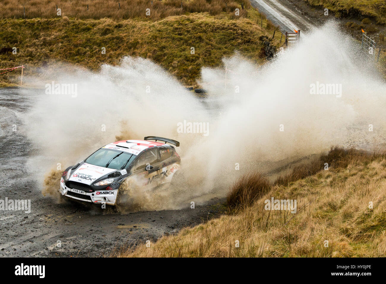 Elfyn Evans in the Ford Fiesta R5 passes through the watersplash on the entry to the Sweet Lamb spectator complex near Newtown in Mid Wales Stock Photo
