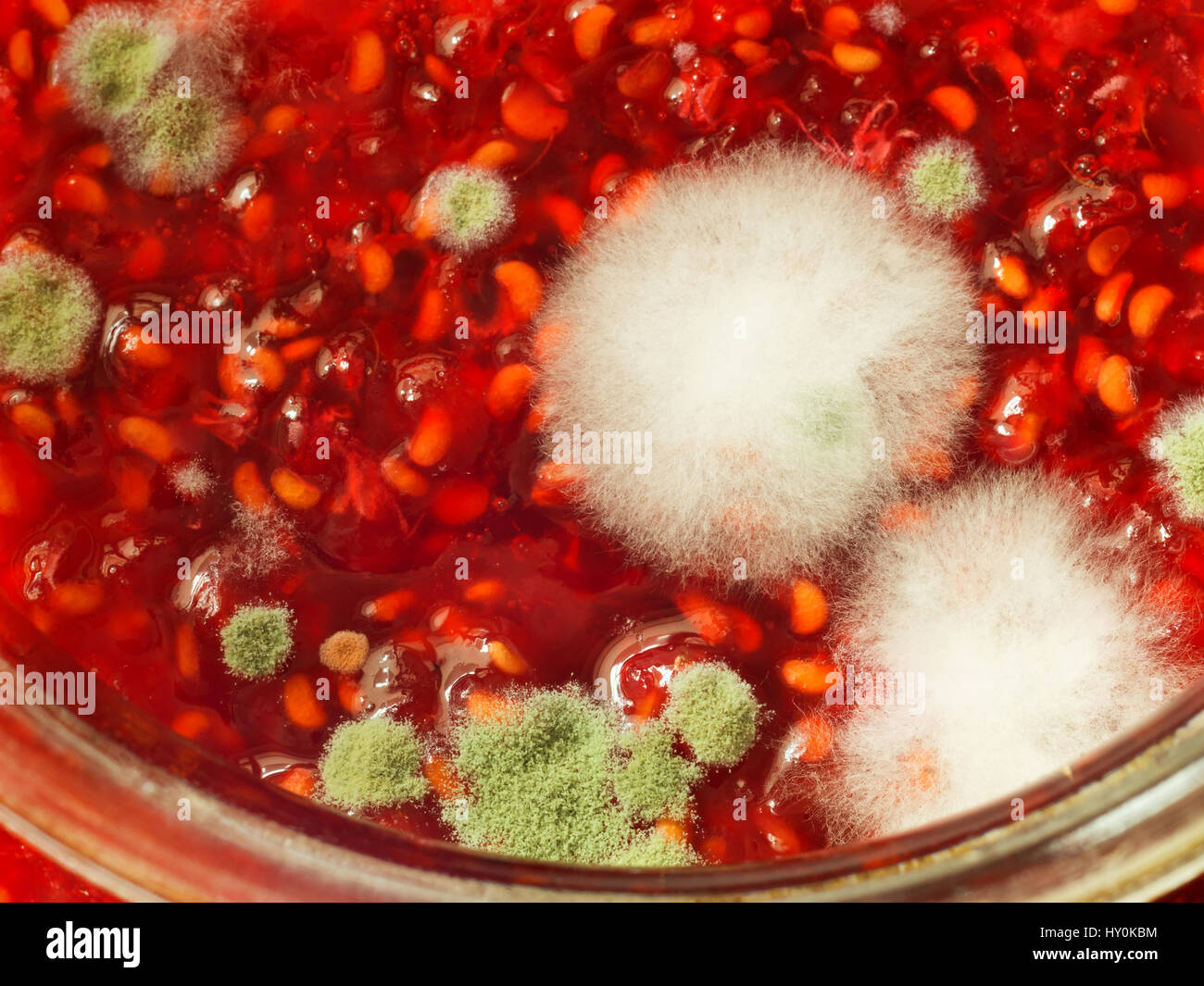 Mold jam hi-res stock photography and images - Alamy