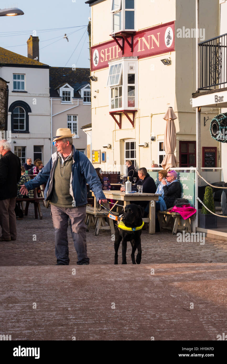 Man and guide dog in Teignmouth,Uk outside the Ship Inn. Stock Photo