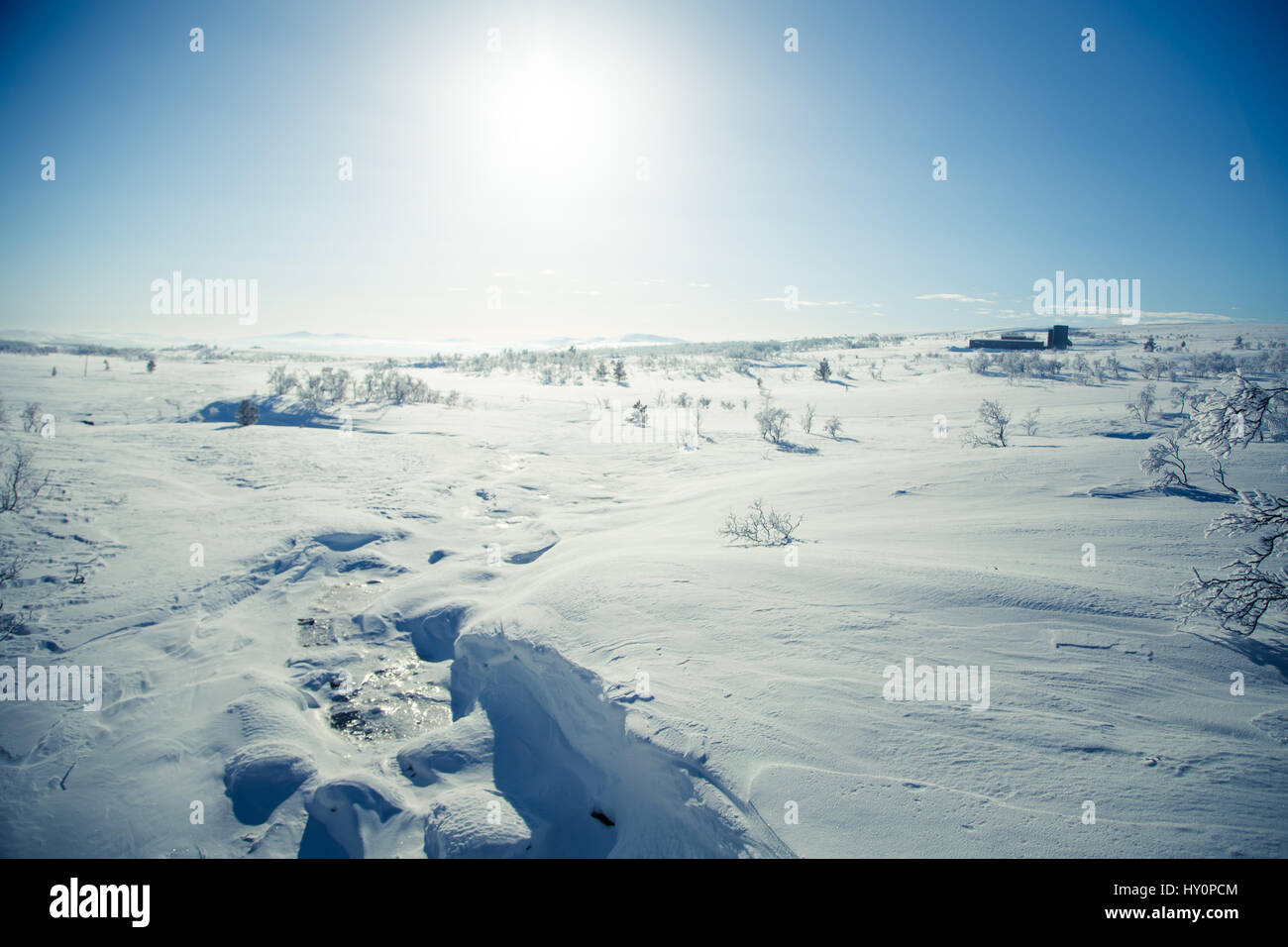 A beautiful white landscape of a snowy Norwegian winter day Stock Photo