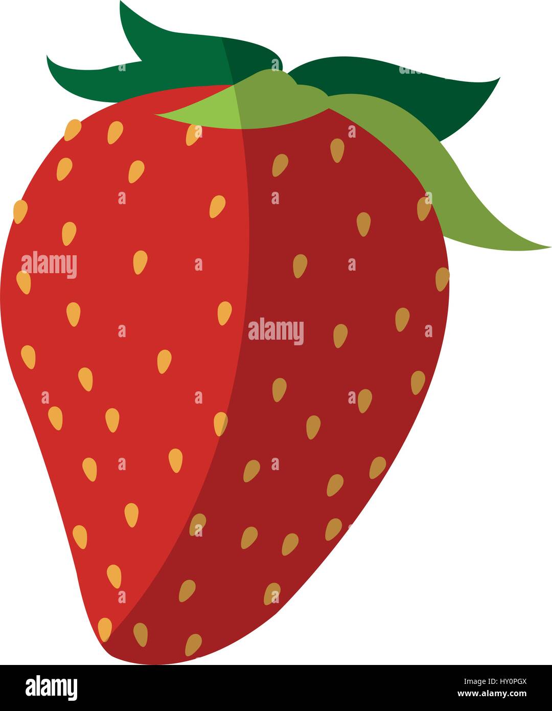 strawberry fruit icon over white background. colorful design. vector ...