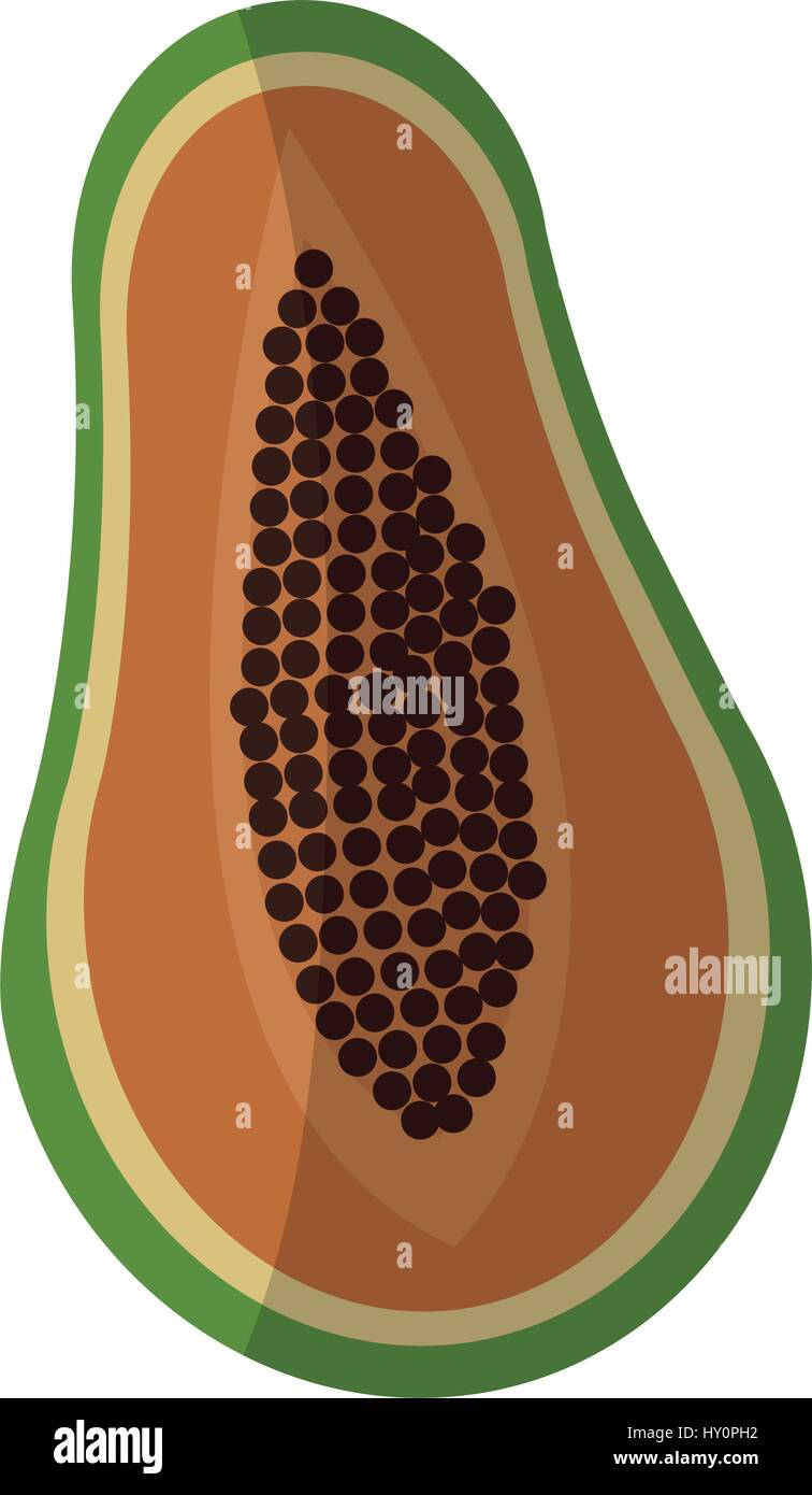 paw paw fruit icon over white background. colorful design. vector illustration Stock Vector ...