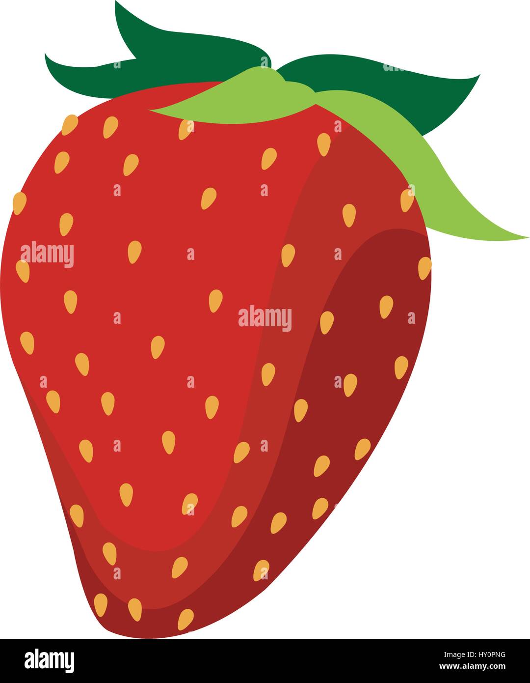 strawberry fruit icon over white background. colorful design. vector ...
