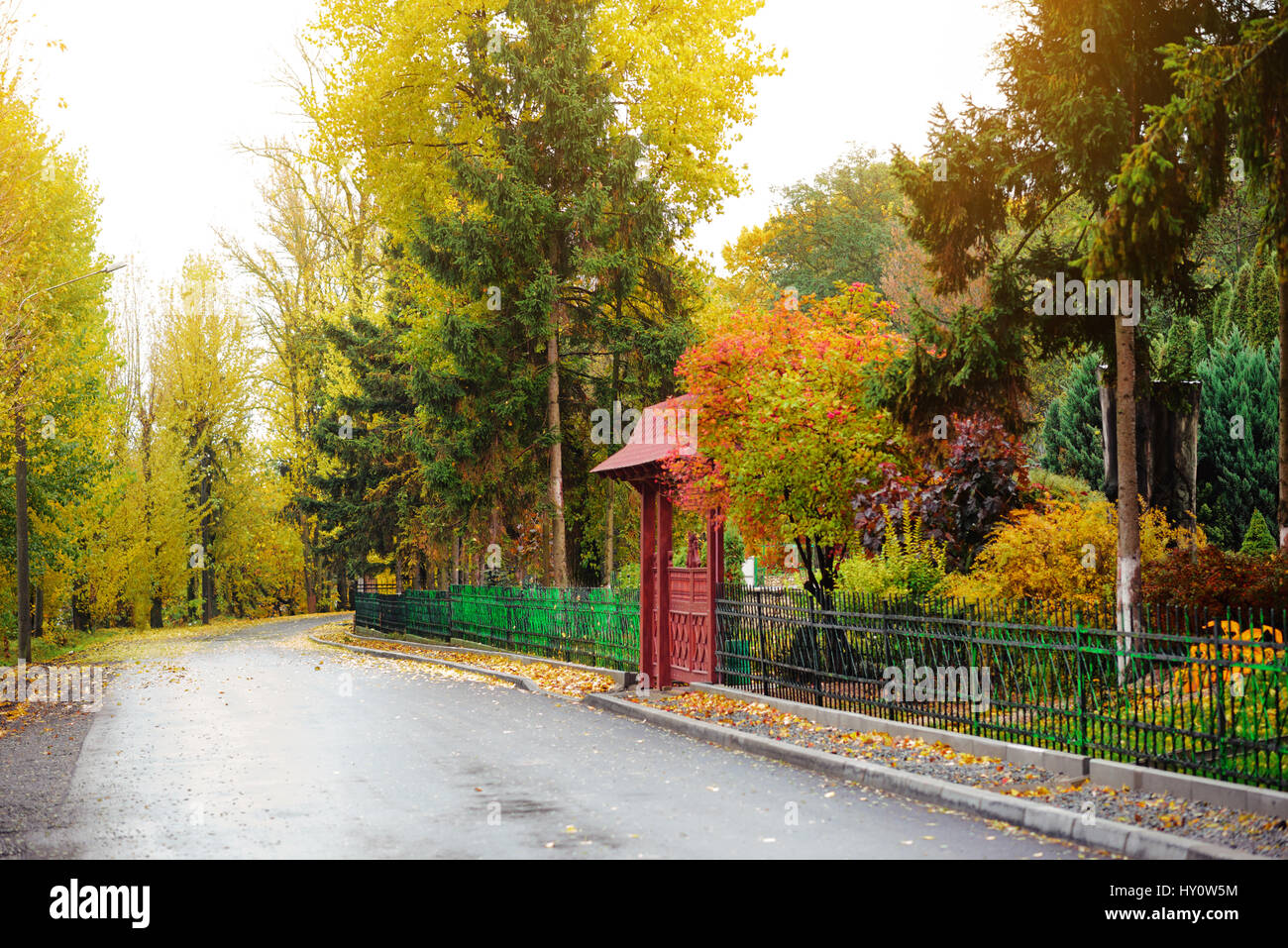 Colorful autumn landscape in the forest with old road Stock Photo - Alamy