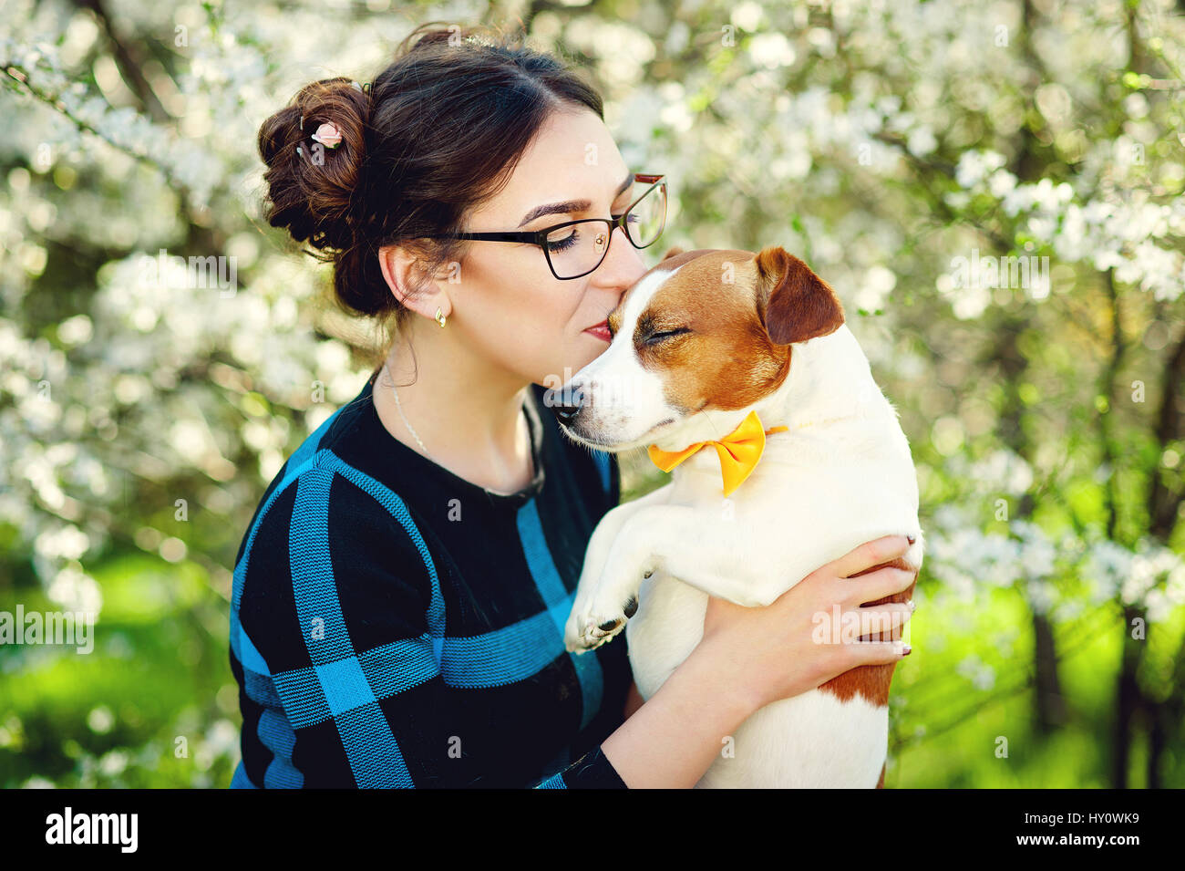 Young beautiful woman kisses her beloved pet dog Jack Russell terrier on a background of spring blooming trees Stock Photo