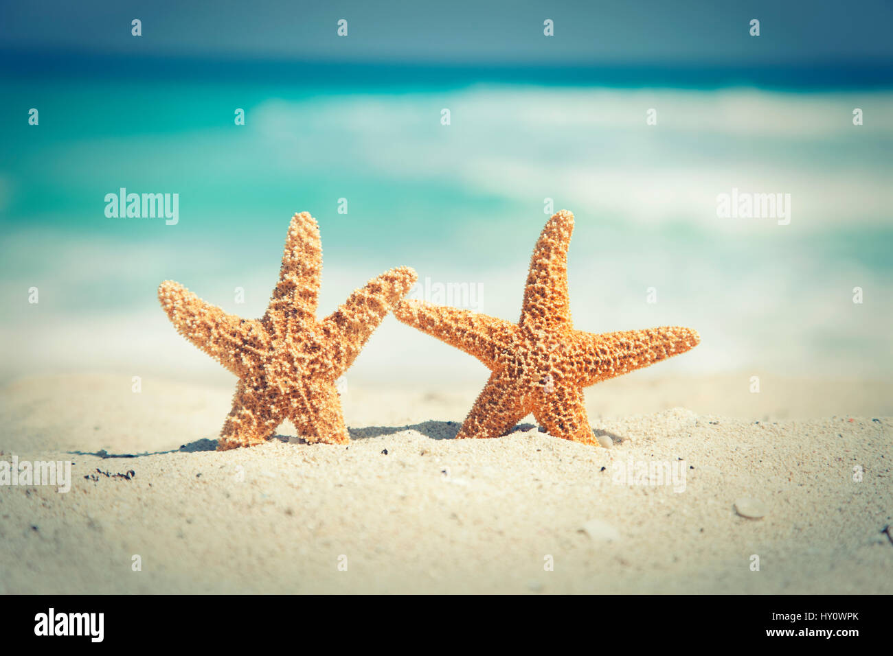 Two cross-processed starfish on the beach with ocean waves in background Stock Photo