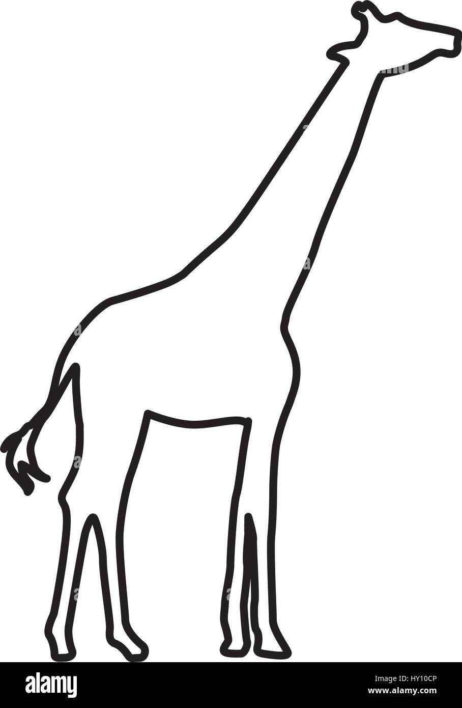 Giraffe Cartoon Black And White Printable