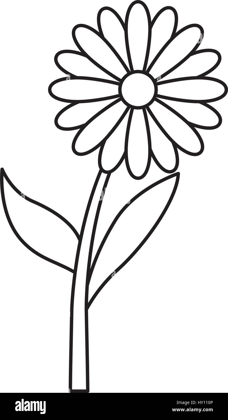 cute flower isolated icon Stock Vector Image & Art - Alamy
