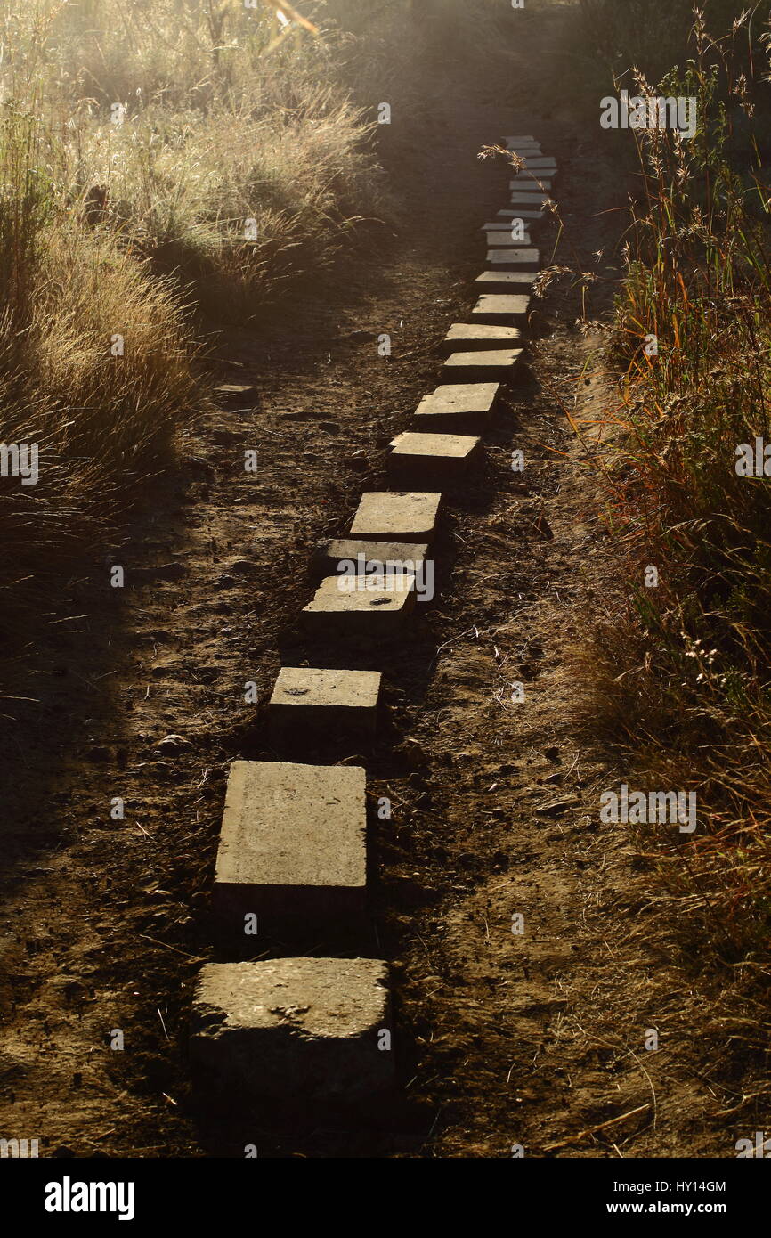 Stepping stones on a dusty path silhouetted against the early morning light in portrait format Stock Photo
