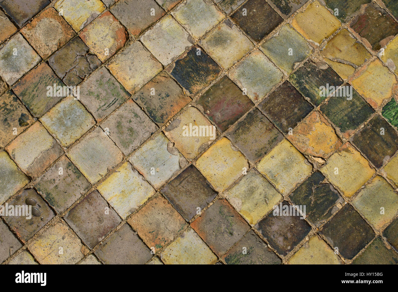 Medieval ceramic floor tiles in the ruins of Byland Cistercian Abbey, Ryedale, North Yorkshire, England Stock Photo