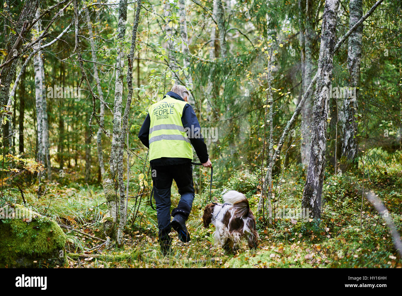 Sweden, Uppland, Rison, Volunteer with dog helping emergency services find missing people Stock Photo