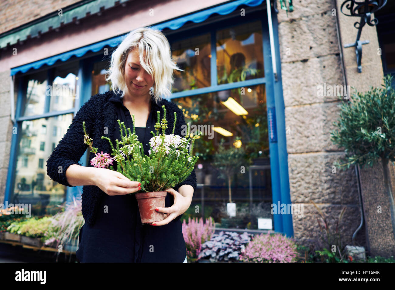 Sweden, Sodermanland, Stockholm, Sodermalm, Florists holding potted plant Stock Photo