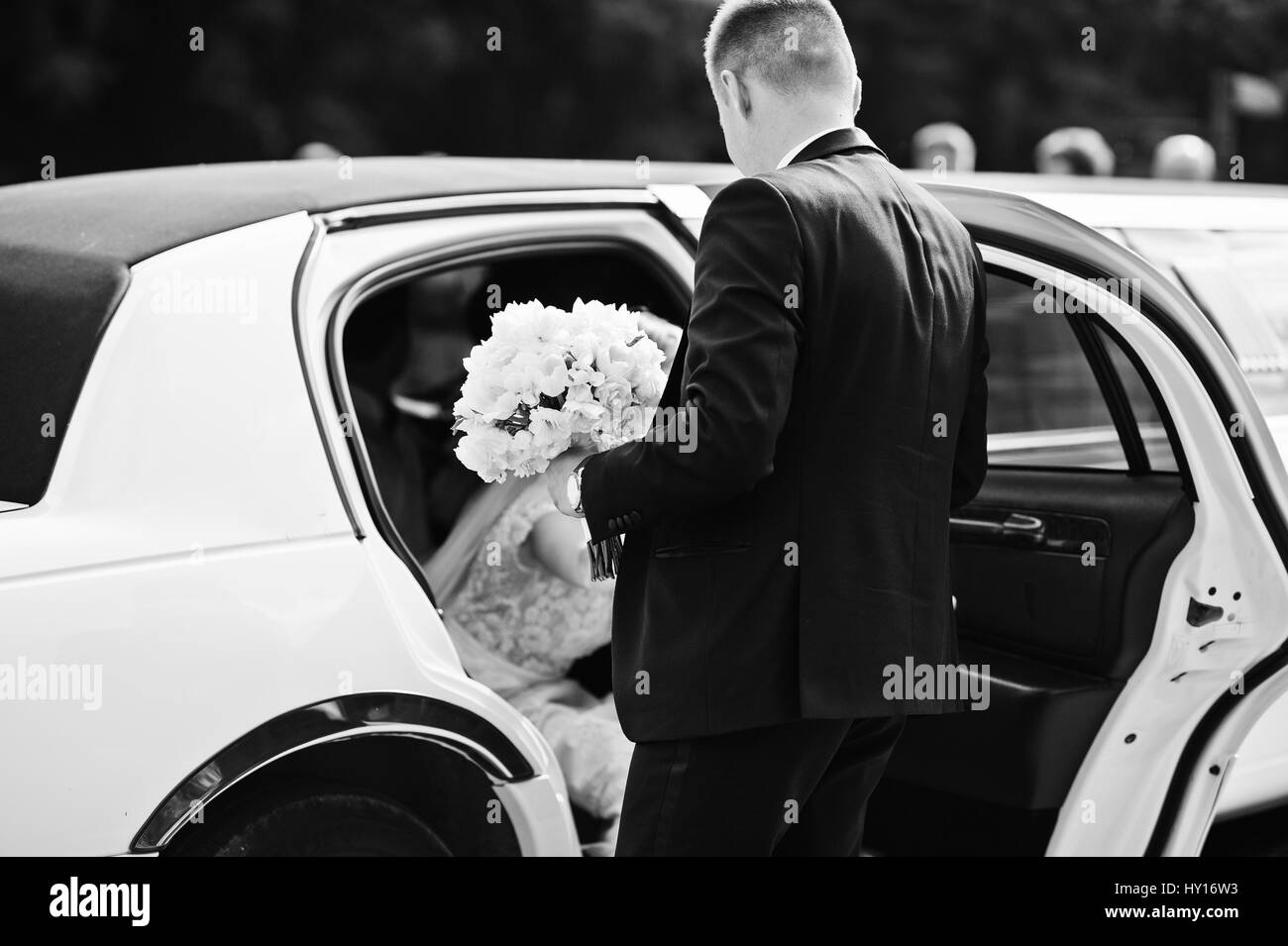 Groom give his hand for bride to take from limousine at wedding day ...