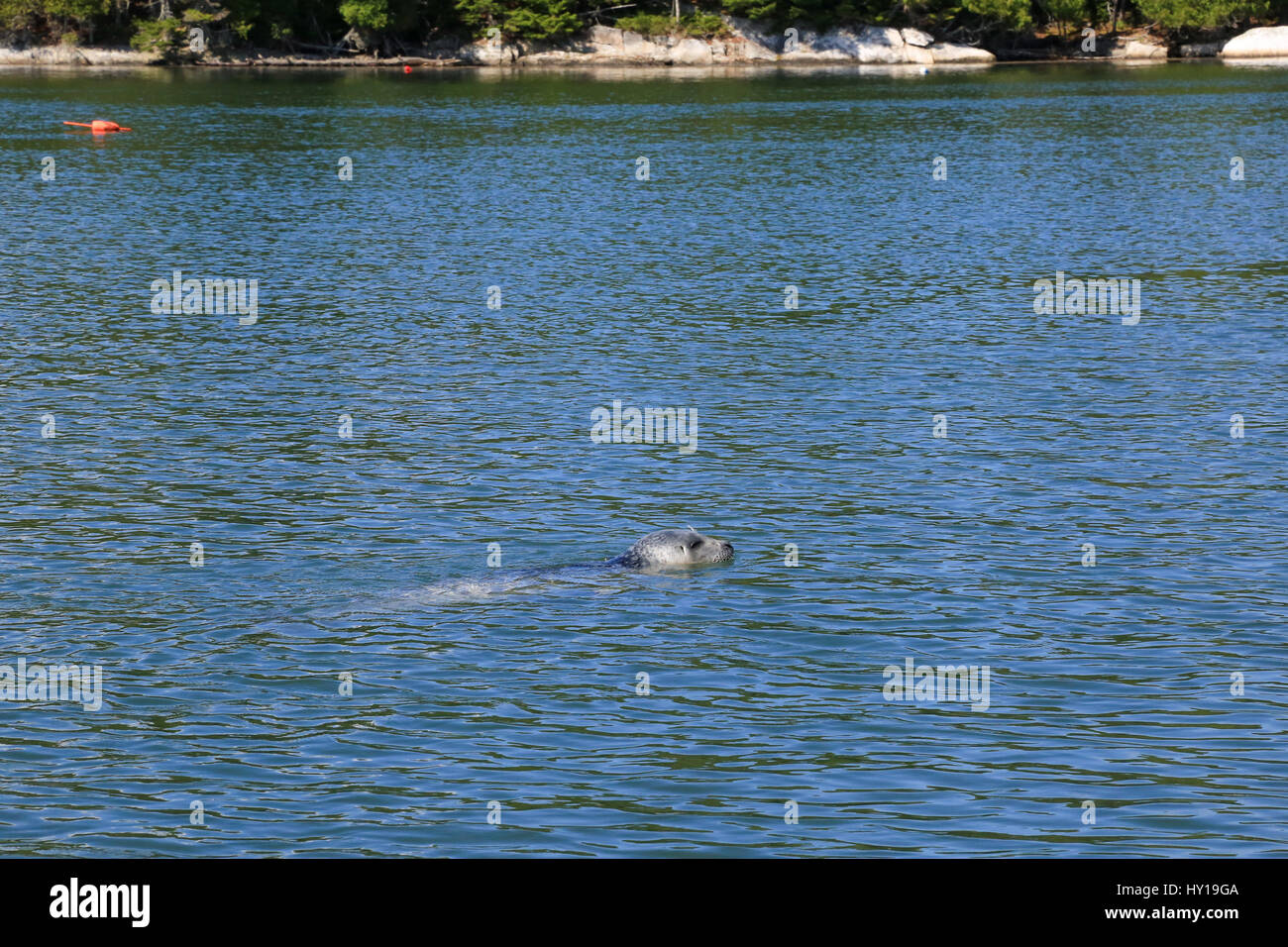 Seal Harbor Maine Stock Photos & Seal Harbor Maine Stock Images Alamy
