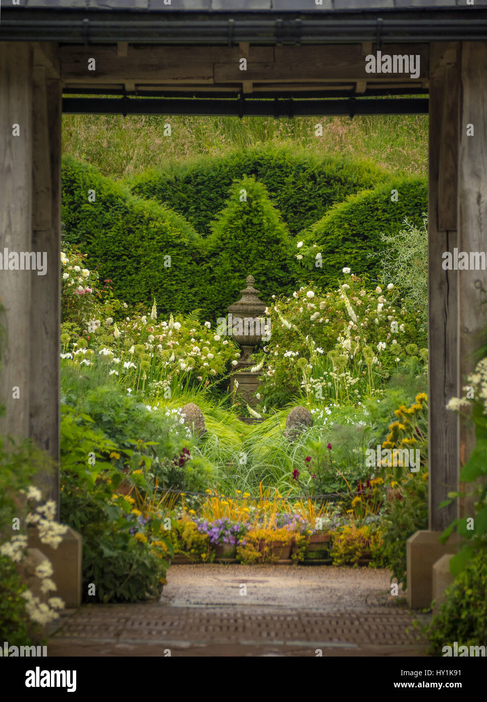 Formal mixed garden planting with topiary hedging seen through wooden structure. Stock Photo