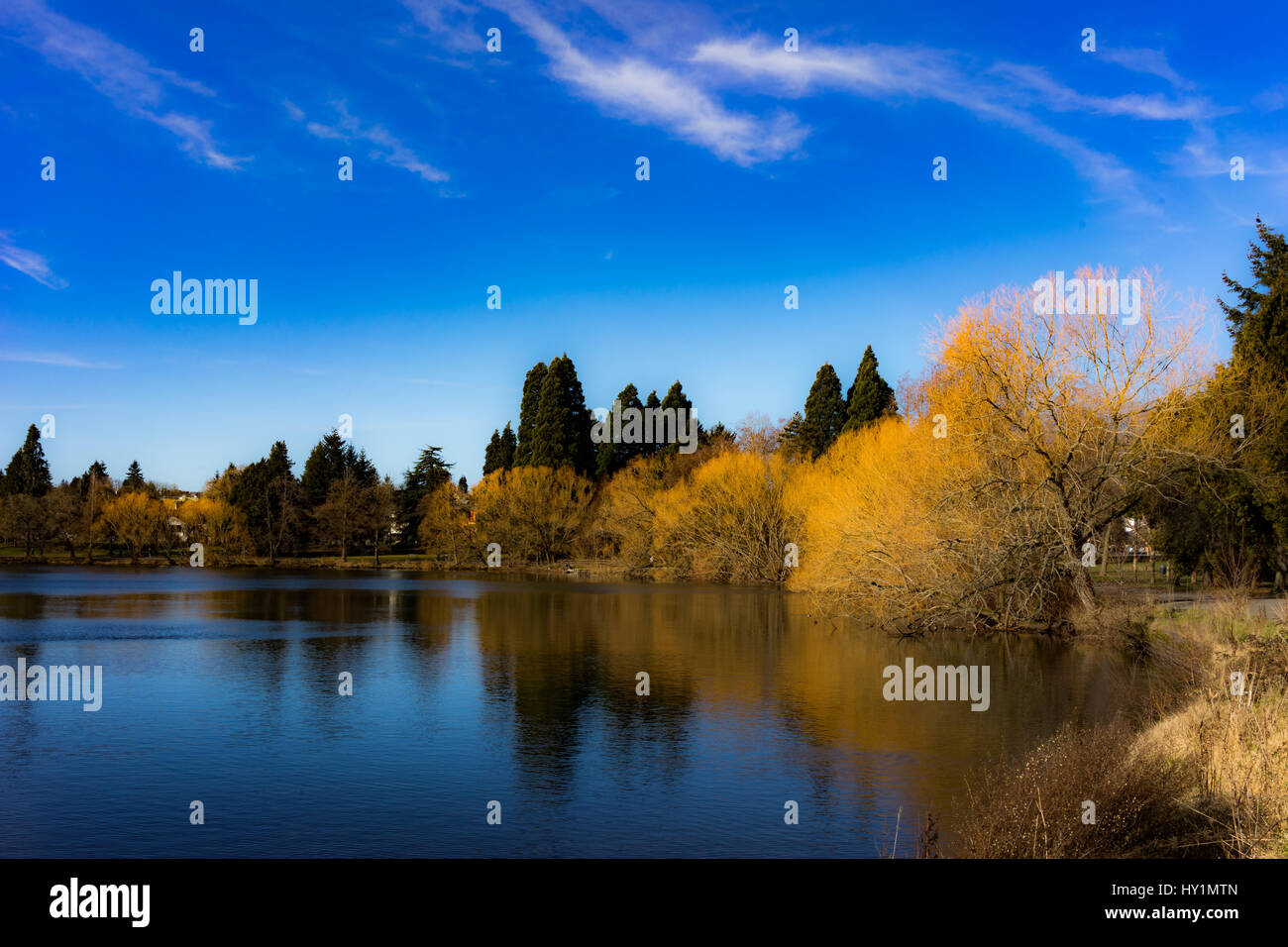 Peaceful and classic Green Lake in North Seattle beckons you to run