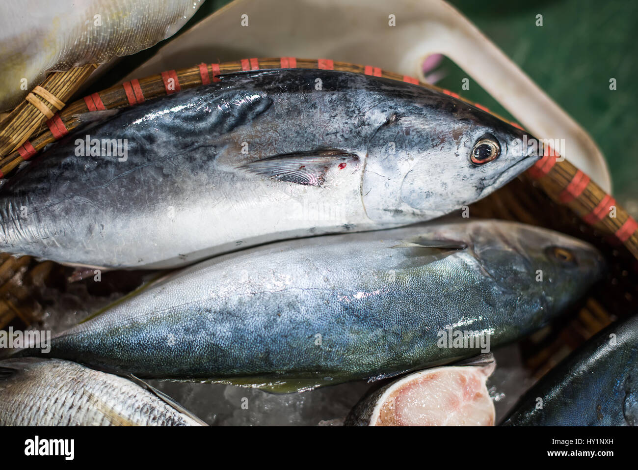 Fresh Tuna Fish On The Wet Market Stock Photo Alamy