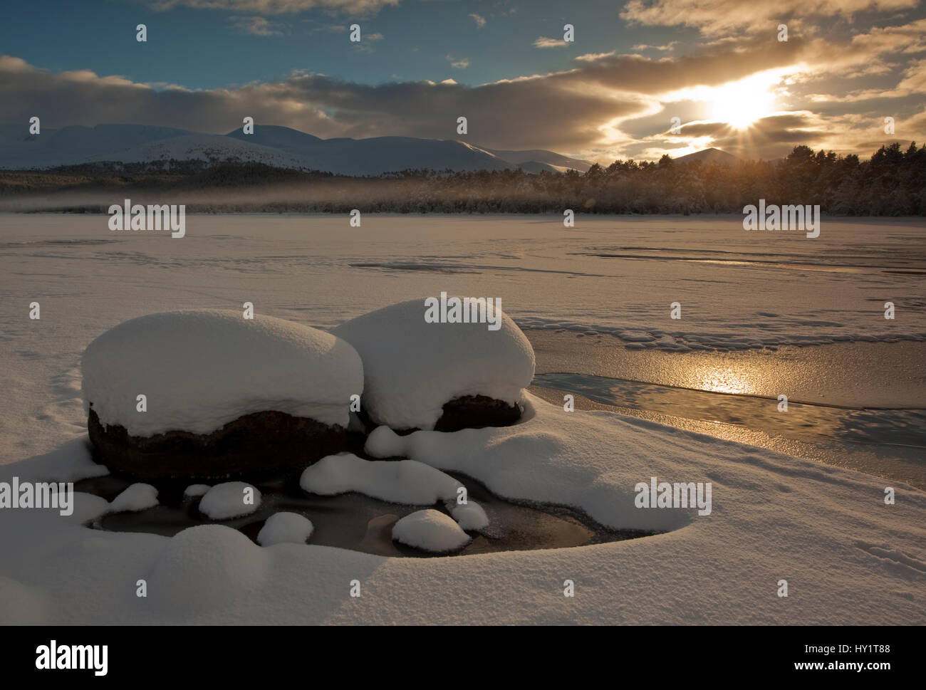 Loch Morlich frozen over in winter, Cairngorms National Park, Highlands