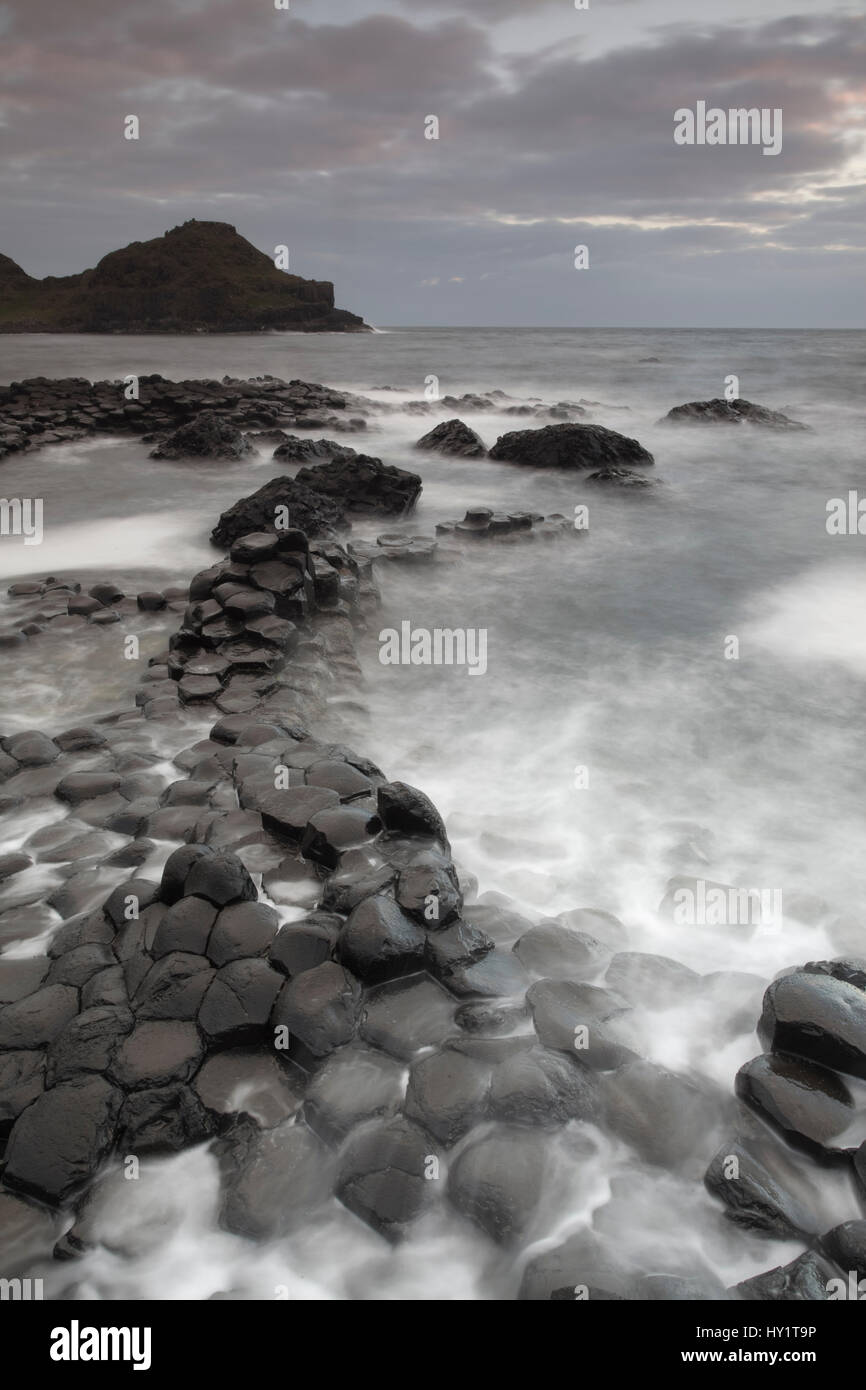 Giants Causeway, County Antrim, Northern Ireland, UK, June 2010. Looking out to sea. Stock Photo