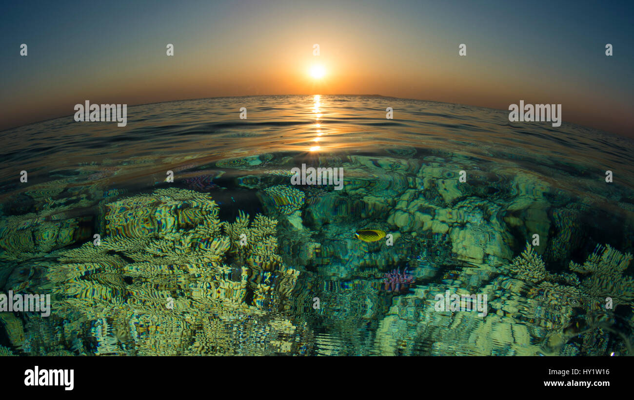 Fish eye view of sunset over the coral reef near the Chrisoula K wreck, Abu Nuhas, Egypt. Strait of Gubal, Gulf of Suez, Red Sea. Stock Photo