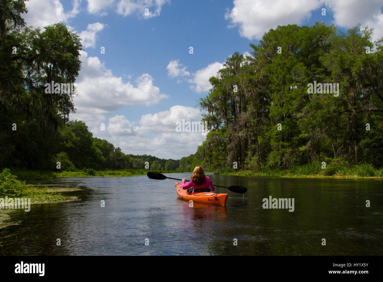 Kayaking spring-fed Ichetucknee River. Ichetucknee River State Park ...