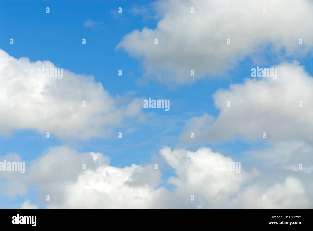 This stock photo shows a perfect  blue sky partly covered with cumulus clouds. The image was taken on a sunny morning. Stock Photo