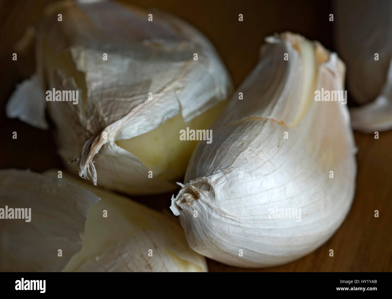This stock photo shows a close up of Garlic gloves on a dark background. This image shows also the fine structure of the gloveÂ´s fine skin. Stock Photo