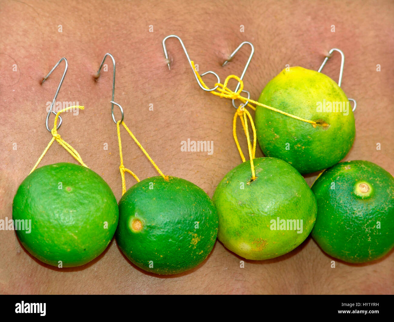 Detail of a Hindu devotee that has lime hooked up to his body during Thaipusam, Singapore Stock Photo