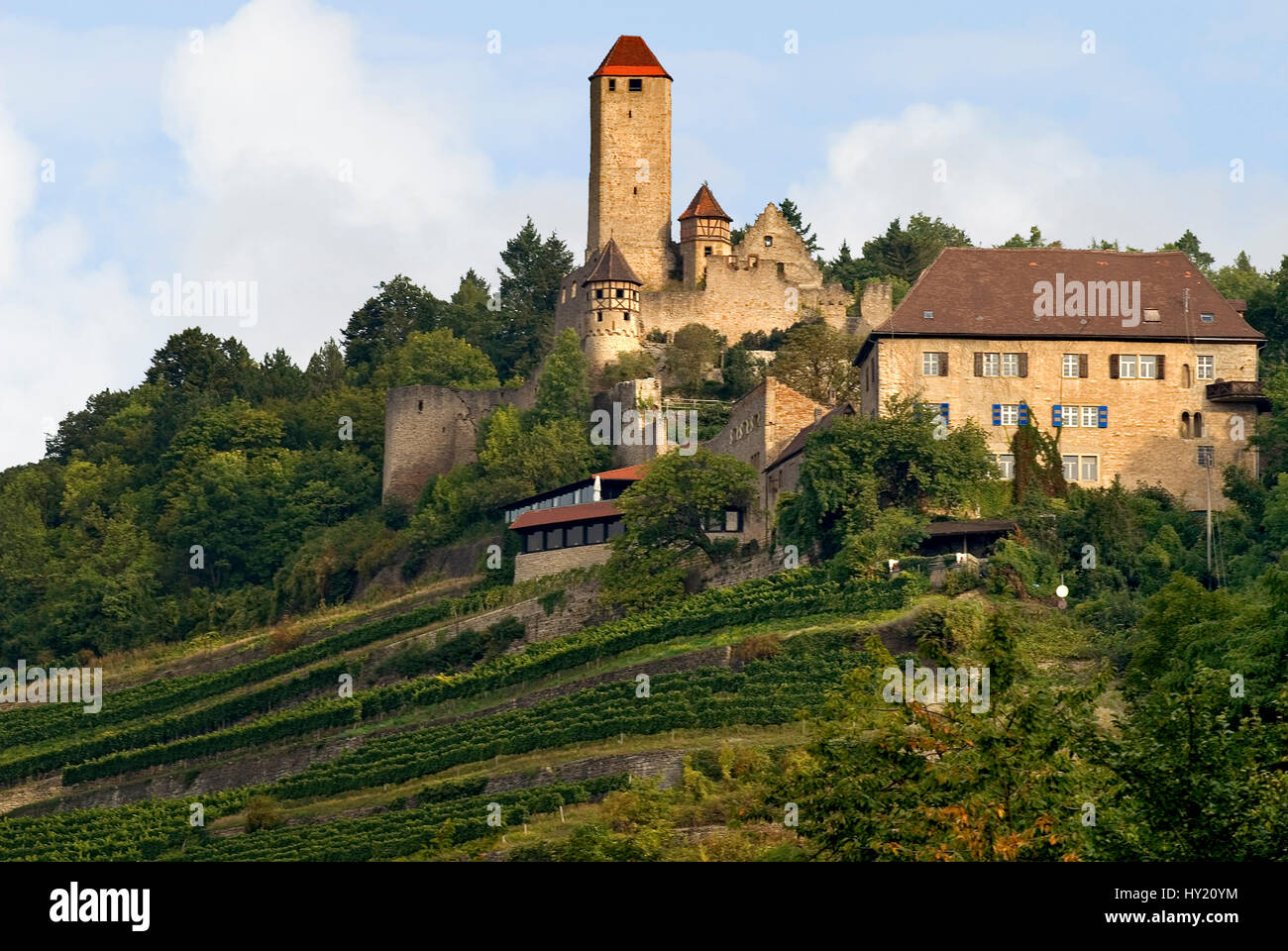 Blick auf die Burg Hornberg, die Burg des GÃ¶tz von Berlichingen, in Neckarzimmern in Baden WÃ¼rttemberg, Deutschland.   Image of the Castle Hornberg  Stock Photo