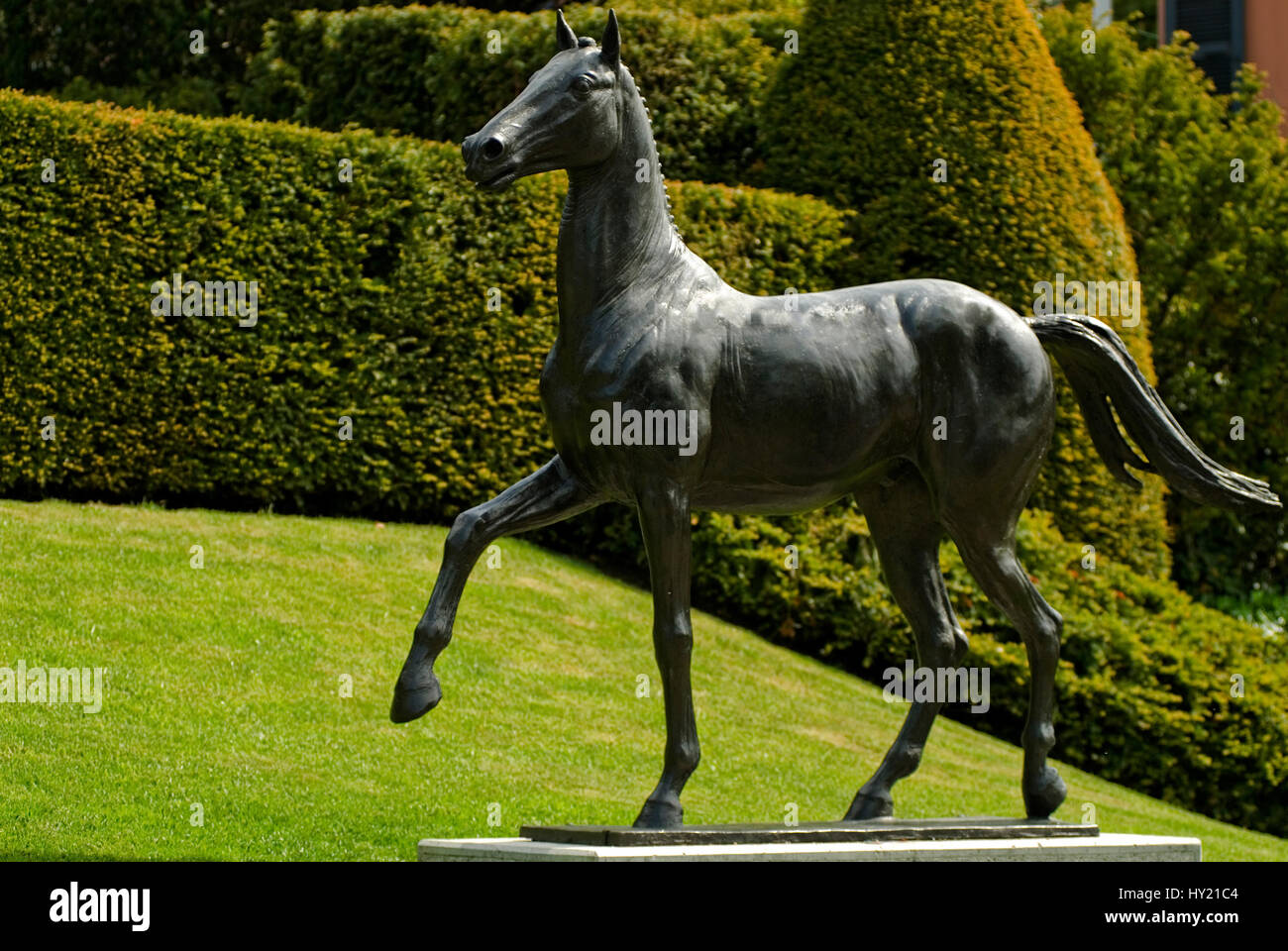 Image of the Horse Sculpture at the La Parc Olympic in  Lausanne, Switzerland. Stock Photo