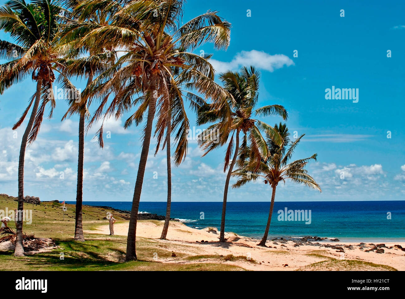 This stock photo shows the Anakena Beach on Easter Island in Chile. Anakena Beach is the legendary landing place of Hotu Matua Stock Photo